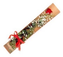 1 adet kirmizi g�l 