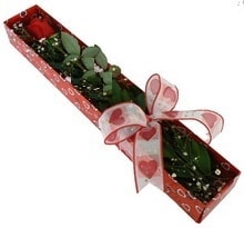 Tek kirmizi g�l kutu i�erisinde 