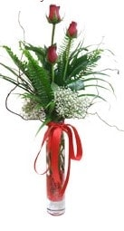3 adet kirmizi g�l vazo i�erisinde 