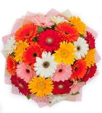 29 adet renkli gerbera buketi Ankara yurti�i ve yurtd��� �i�ek sipari�i 