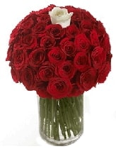 Vazo i�erisinde 50 adet k�rm�z� 1 adet beyaz g�l