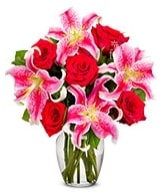 Vazoda 5 adet k�rm�z� g�l 2 dal kazablanka Ankara �i�ek�i ma�azas�