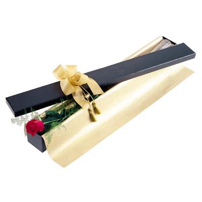 Ankara Sincan Elvankent �i�ek�i firmas� �r�n�m�z bir adet kutu i�erisinde g�l