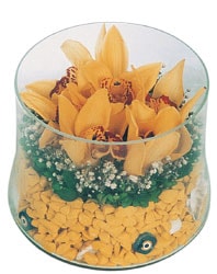 Ankara Sincan iekilik grsel iek modeli firmamzdan vazo ierisinde 5 adet kandil orkide