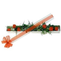 Kutu i�inde 6 adet K�pk�rm�z� g�l Ostim ve Ankara i�in g�rsel bir tanzim 