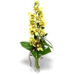 Ankara Sincan iekilik grsel iek modeli firmamzdan tek dal vazoda kesme orkide iei